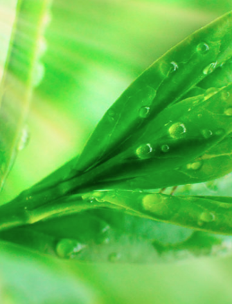 schermata 2026-02-24 alle 10